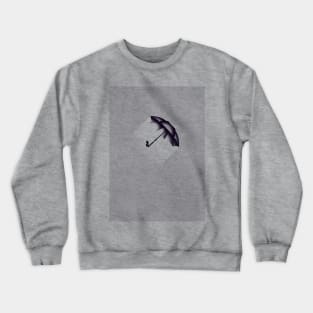 Aegis Crewneck Sweatshirt